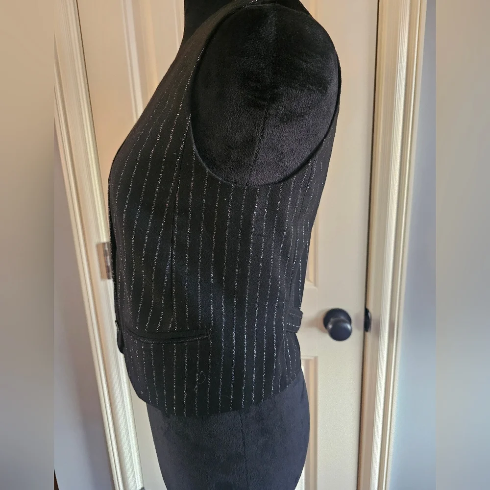 Mave Metallic Striped Vest Blk Slvr XS Excellent Condition Anthropologie - Picture 3 of 11
